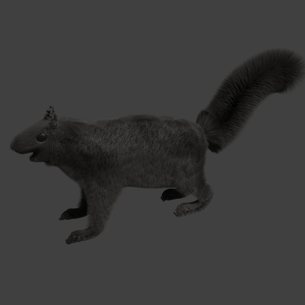 Squirrel preview image 1